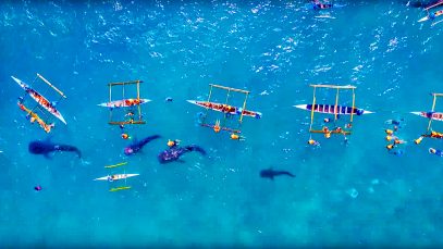 Whale Sharks in Oslob Cebu Aerial View Project LUPAD