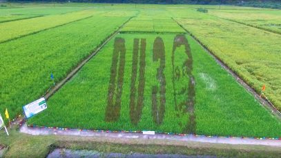 Rice Field Art of President Duterte Aerial View Project LUPAD