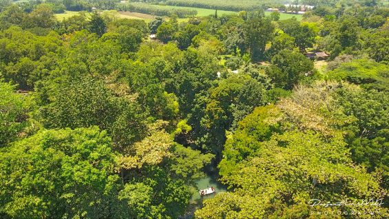 PHOTOS: Nasuli Spring Bukidnon Aerial View