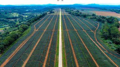 Del Monte Plantation Bukidnon Aerial View Project LUPAD