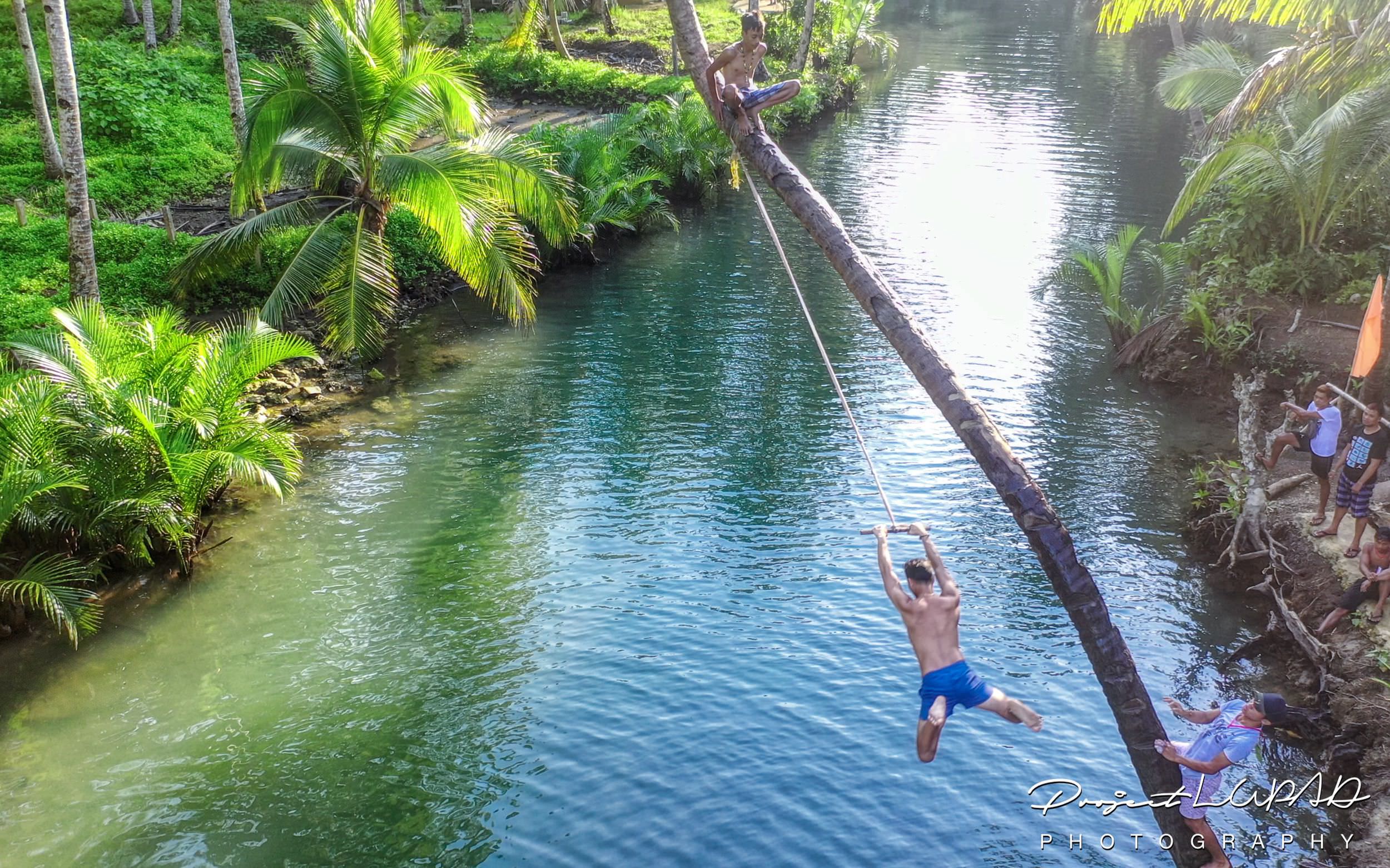 PHOTOS Bended Coconut Tree Rope Swing in Siargao Island