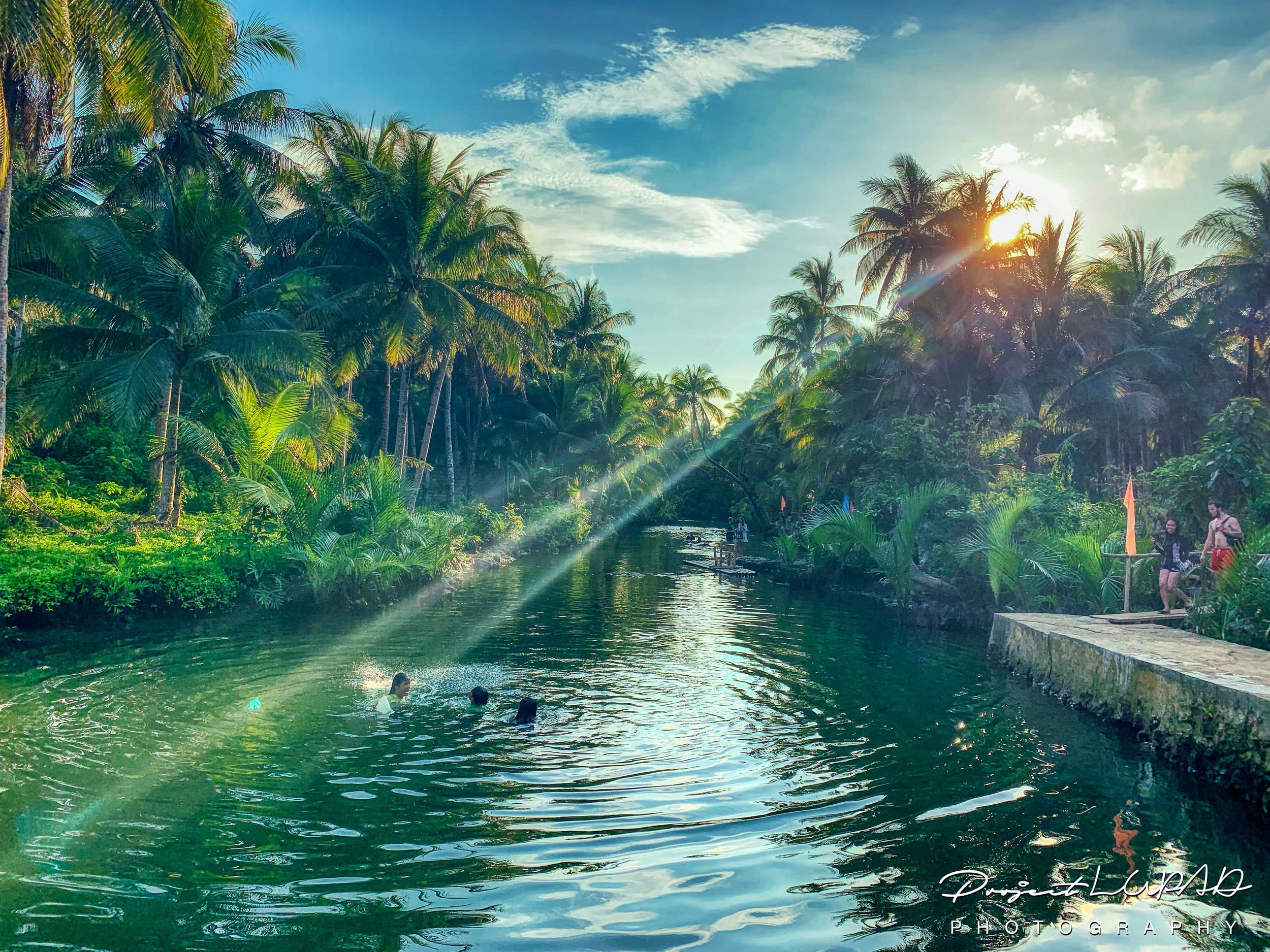 PHOTOS Bended Coconut Tree Rope Swing in Siargao Island
