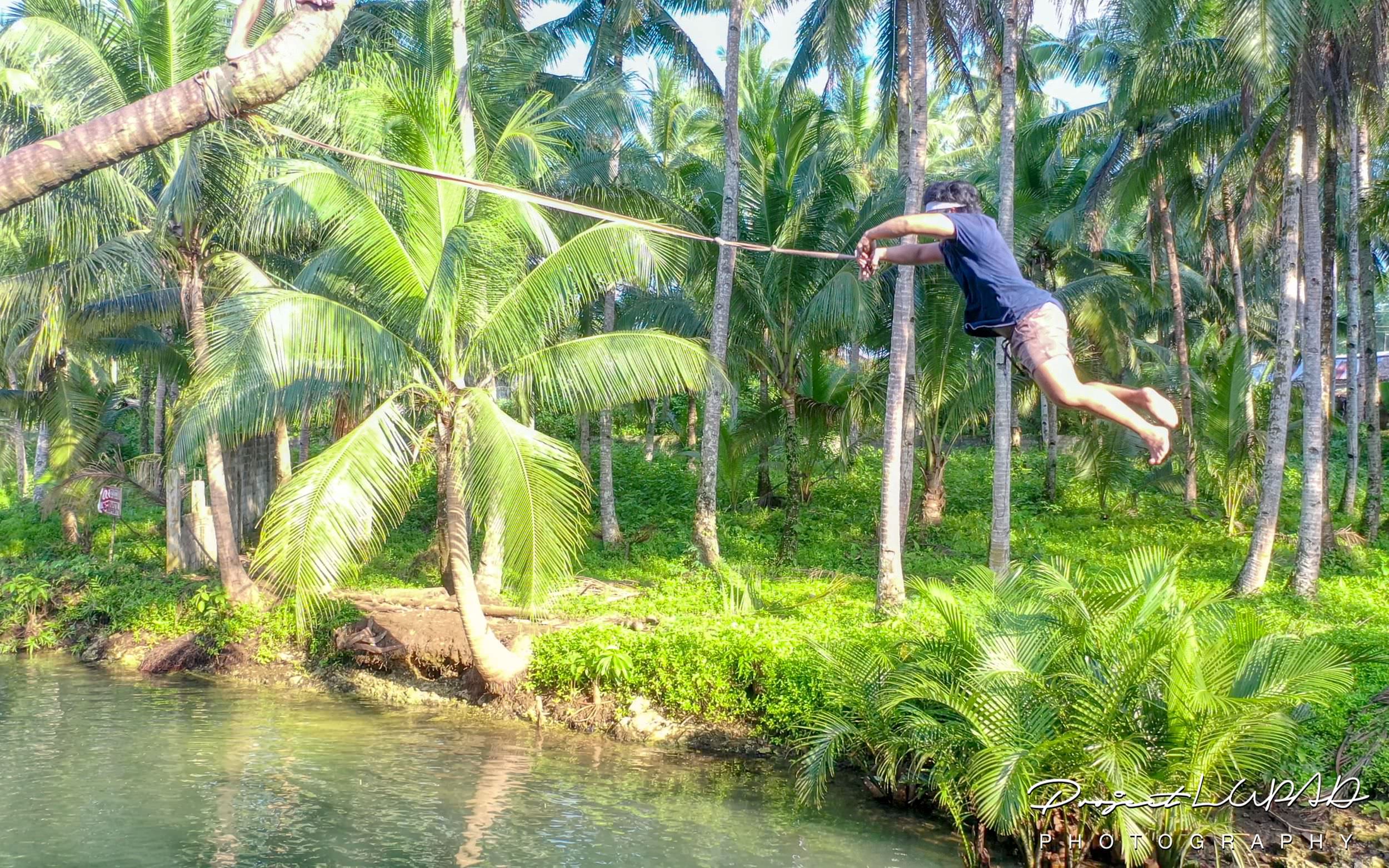 PHOTOS Bended Coconut Tree Rope Swing in Siargao Island