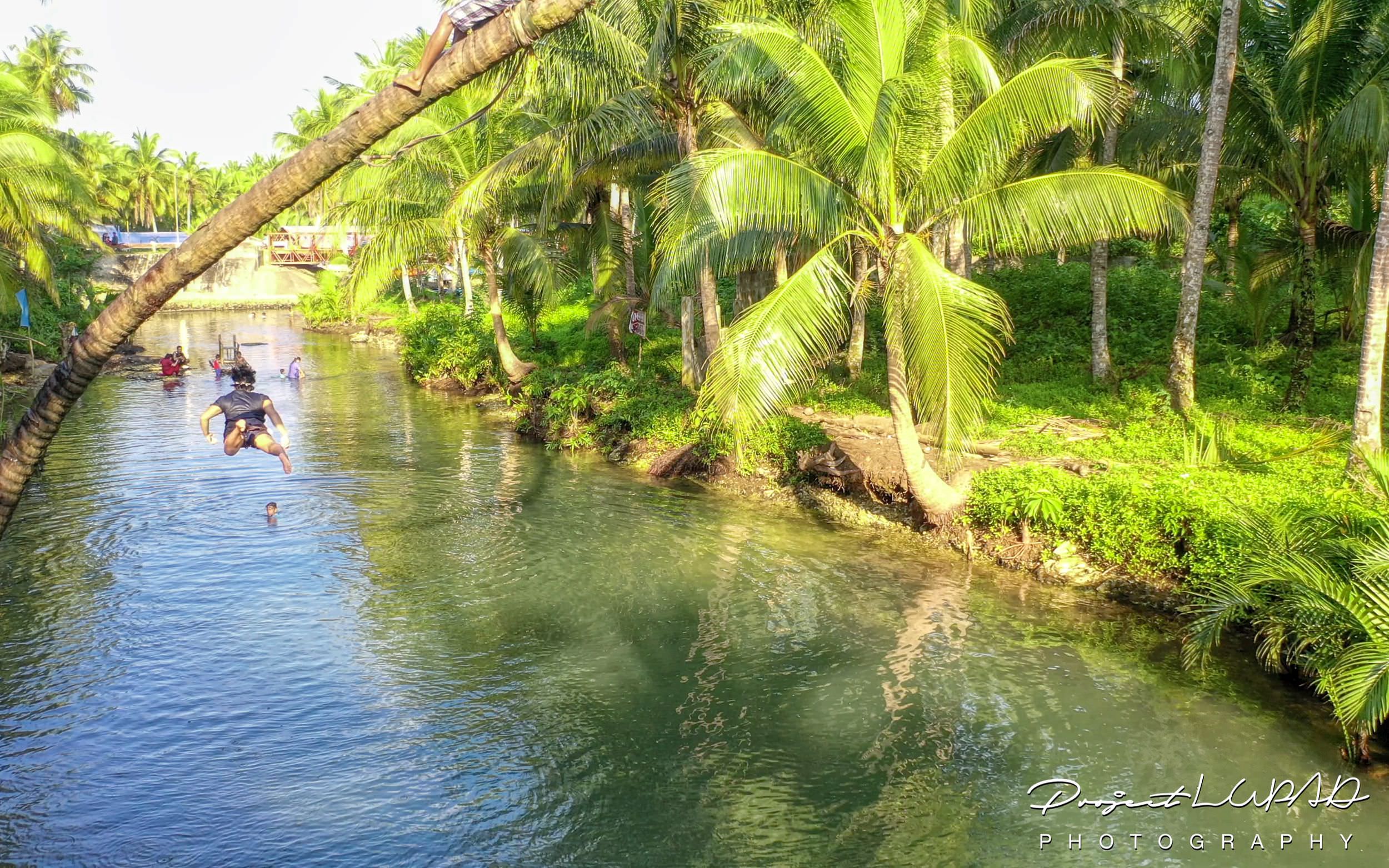 PHOTOS Bended Coconut Tree Rope Swing in Siargao Island