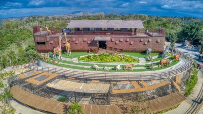 Noah’s Ark in the Philippines Copyright to Project LUPAD 1