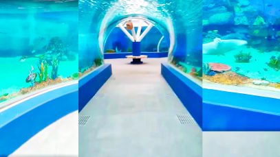 Cebu Ocean Park as of July 2019 Project LUPAD