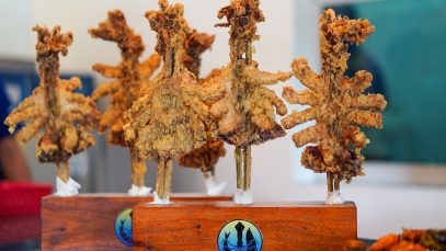 Above-Sea-Levels-Giant-Butterfly-Squid-Now-in-CDO-10