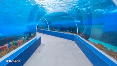 Biggest Oceanarium in PH Now Open Project LUPAD