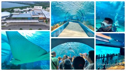 Everything You Need to Know Before Going to Cebu Ocean Park Project LUPAD