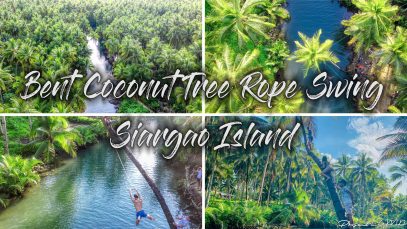 Must-Experience Bent Coconut Tree Rope Swing in Siargao Island 4K JPG