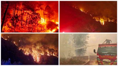 Forest and Grass Fires in Various Areas in Baguio and Benguet Project LUPAD