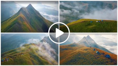 Hummingbird Mountain of Impasug-ong Bukidnon Philippines Project LUPAD 1