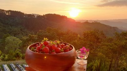 Taglucop Strawberry Hill