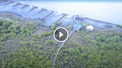 Iloilo–Guimaras–Negros–Cebu Link Bridge Aerial Survey as of June 2020 Project LUPAD