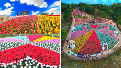 Discover the Jardin Necitas – Pilar Glowing Garden Project LUPAD