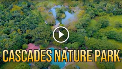 Cascades-Nature-Park-Perfect-Spot-for-Relaxation-and-View-of-Nature-Project-LUPAD