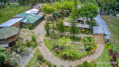 Organic-Farm-with-Accommodation-at-Alomahs-Place-and-Nature-Farm-Copyright-to-Project-LUPAD-7