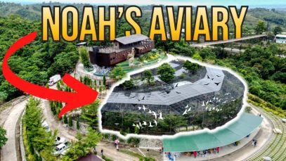 Noahs-Aviary-is-Now-Open-at-Amaya-View-in-Cagayan-de-Oro-Project-LUPAD