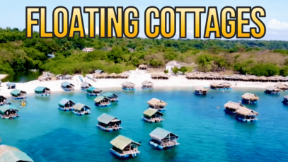 68D59A00-0624-4053-AC7F-EB4E58E668B9