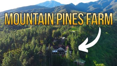 Perfect Summer Home Nestled on the Side of Mt. Kitanglad Project LUPAD