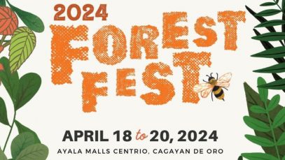 xr:d:DAGBiQ7xhxM:3,j:4783246708847794460,t:24040509